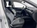 Ford Focus 1.0 Ecoboost MHEV Active 155 Blanco - thumbnail 13