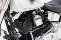 Harley-Davidson Fat Boy Chopper 88 FLSTF - Hydraulic Chain Tensioners - Wh Wit - thumbnail 18
