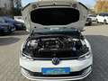 Volkswagen Golf Variant Life eTSI SCR Navi LED Kamera P-Dach ACC PDC Alu16 Blanco - thumbnail 21
