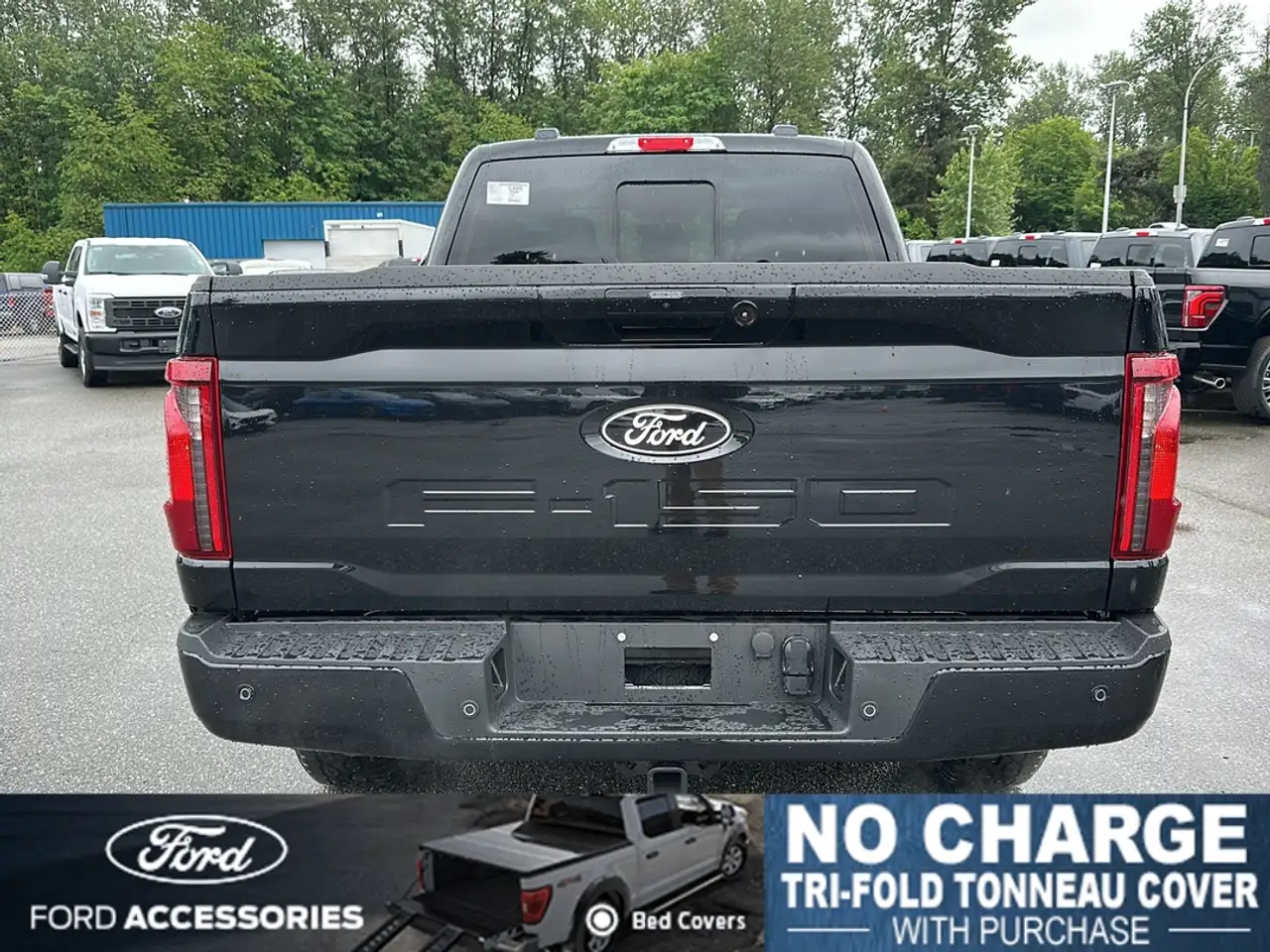Ford F 150 photo Ford F 150