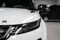 Land Rover Range Rover Evoque 2.0D I4 163 CV AWD Auto Dynamic SE Bílá - thumbnail 7