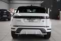 Land Rover Range Rover Evoque 2.0D I4 163 CV AWD Auto Dynamic SE Bílá - thumbnail 5