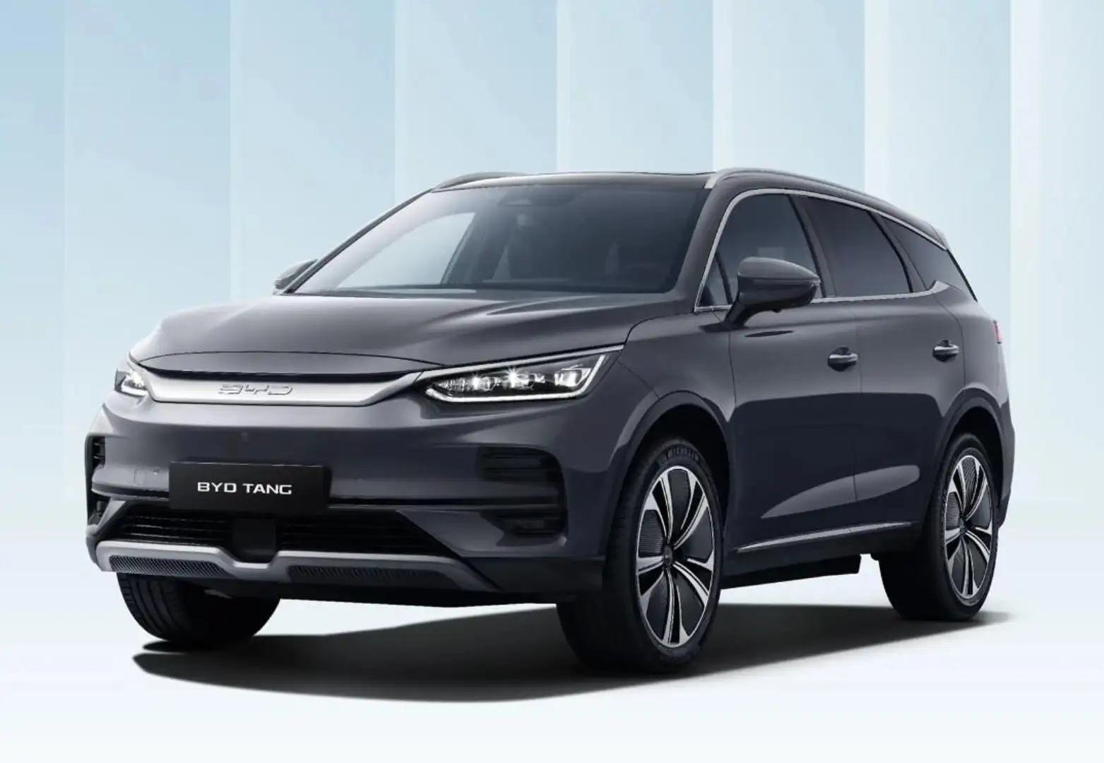 BYD Tang 108,8 kWh 517PS Flagship 4WD Gris - 1