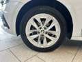 Skoda Octavia Combi 2.0 TDI DSG First Edition Navi ACC Weiß - thumbnail 20