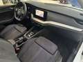 Skoda Octavia Combi 2.0 TDI DSG First Edition Navi ACC Weiß - thumbnail 19