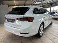 Skoda Octavia Combi 2.0 TDI DSG First Edition Navi ACC Weiß - thumbnail 7
