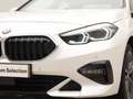 BMW 218 2 Serie 218i Business Edition Sportline Wit - thumbnail 20
