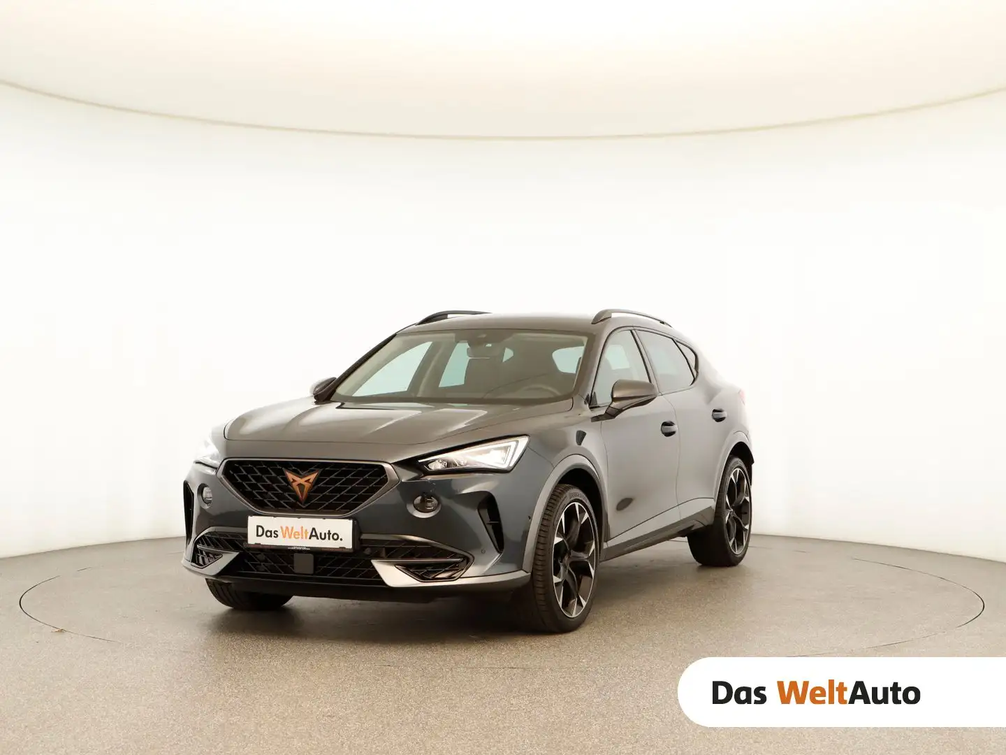 CUPRA Formentor 2.0 TDI 150 PS DSG 4Drive Gris - 1