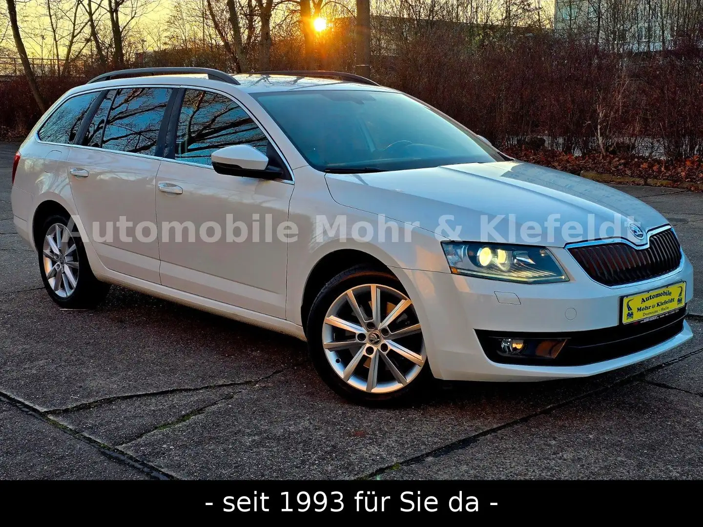 Skoda Octavia Combi Elegance*BiXENON*STANDHEIZUNG*DAB* Weiß - 1