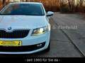 Skoda Octavia Combi Elegance*BiXENON*STANDHEIZUNG*DAB* Weiß - thumbnail 3