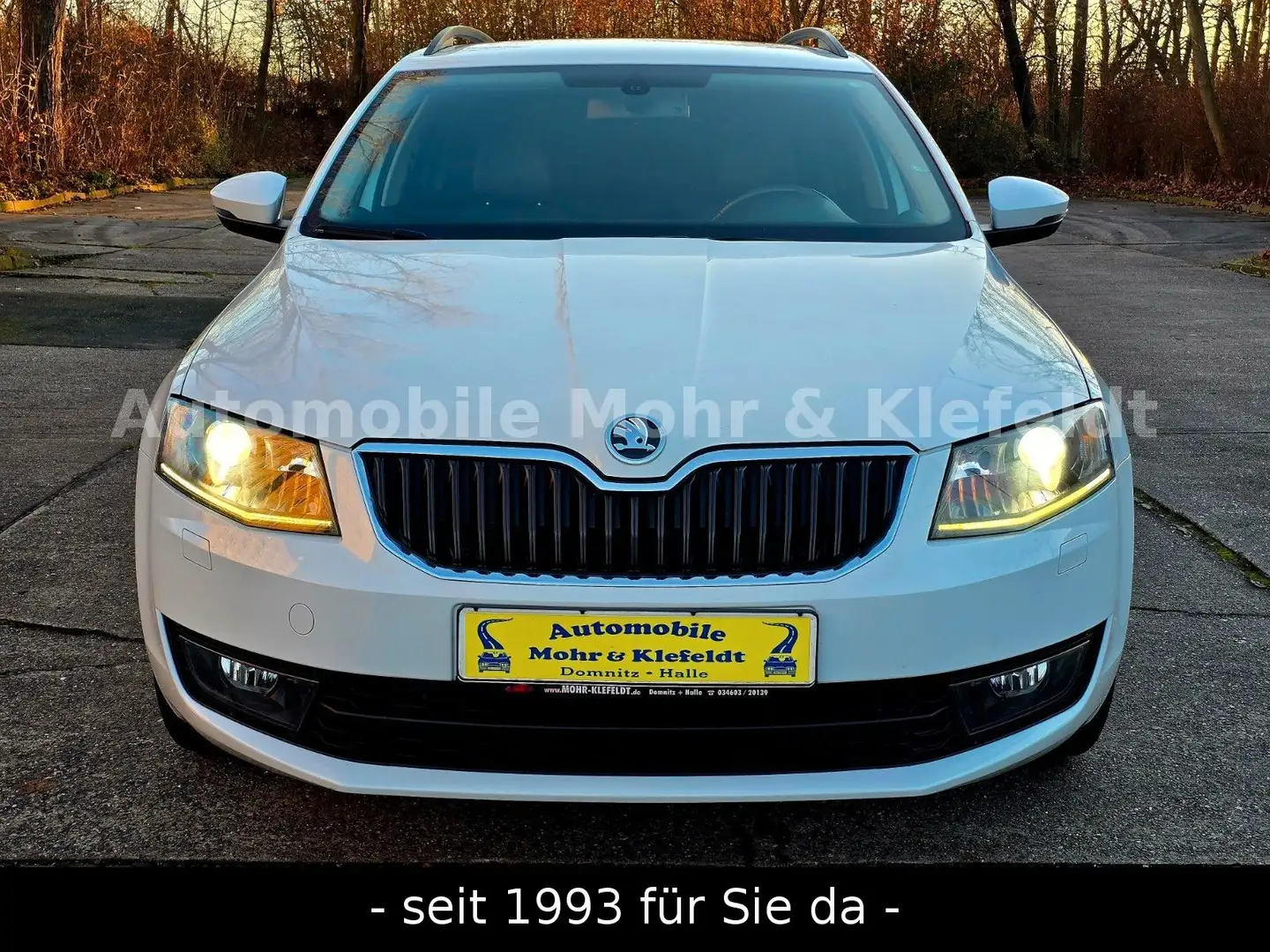 Skoda Octavia Combi Elegance*BiXENON*STANDHEIZUNG*DAB* Weiß - 2