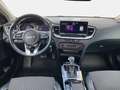 Kia Ceed SW / cee'd SW 1,6 CRDi SCR ISG Gold 48V DCT Blau - thumbnail 10