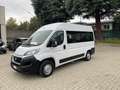 Fiat Ducato 150CV *FLEX FLOOR  9 POSTI **TRASPORTO DISABILI Wit - thumbnail 7