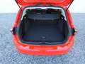 Ford Focus Titanium Autom. +AHK+Distr+Ergositze Rot - thumbnail 11
