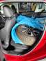 Peugeot 2008 Allure 1.2 e-thp Rouge - thumbnail 6