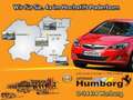 Ford Kuga Titanium Bi-Xenon/Sony/EasyDriver 3/Winterp Grau - thumbnail 18