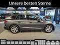 Skoda Enyaq Enyaq iV 80 Loft ACC*Camera*LED*KLima*Stzhzg* Grau - thumbnail 5
