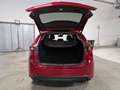 Mazda CX-5 2.2 Exceed 2wd 150cv Rot - thumbnail 5