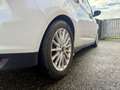 Ford C-Max 2.0 Plug-in Hybrid Titanium Plus dealer onderhoude Weiß - thumbnail 29