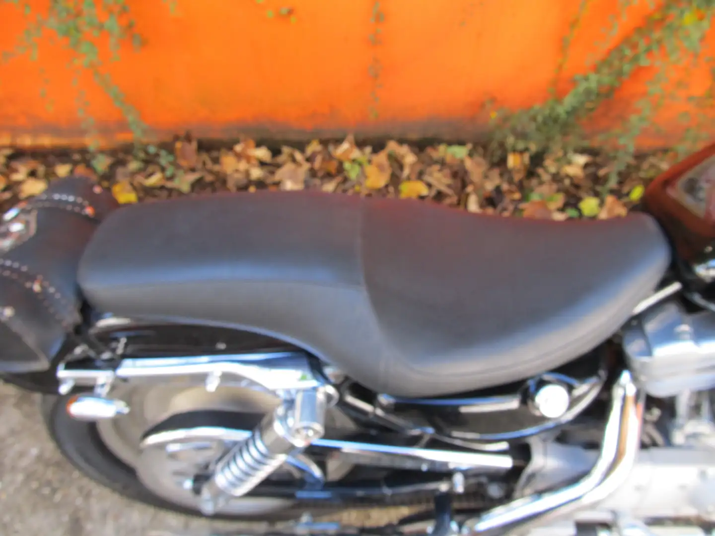 Harley-Davidson Sportster 883 Siyah - 2