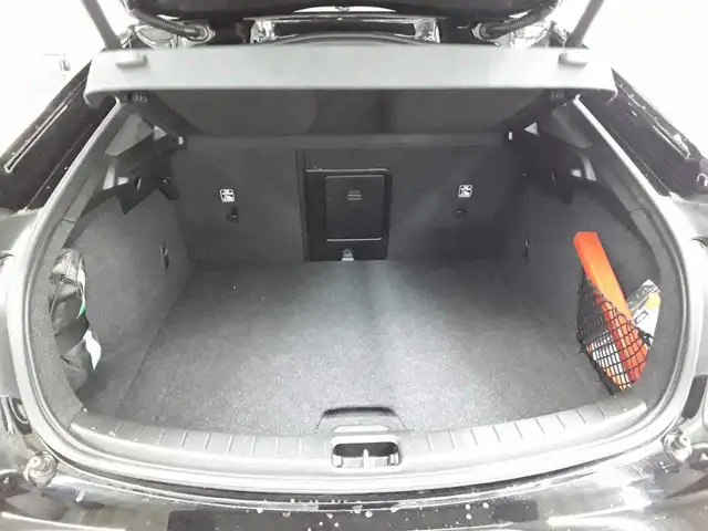 Polestar 2 view 15