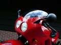 Triumph Daytona 900 - thumbnail 16