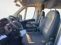 Opel Movano VETRATO BLUEHDI 140CV S&S L2H2 Allestito Focaccia Белый - thumbnail 11