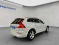 Volvo XC60 XC60 B4 Core Aut Google-Navi LED Kamera PDCv+h Weiß - thumbnail 6