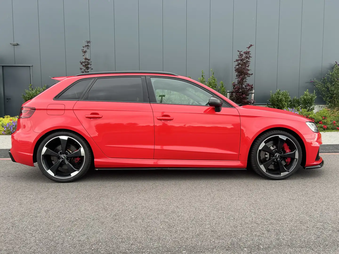 Audi RS3 RS3 2.5 TFSI Rood - 2