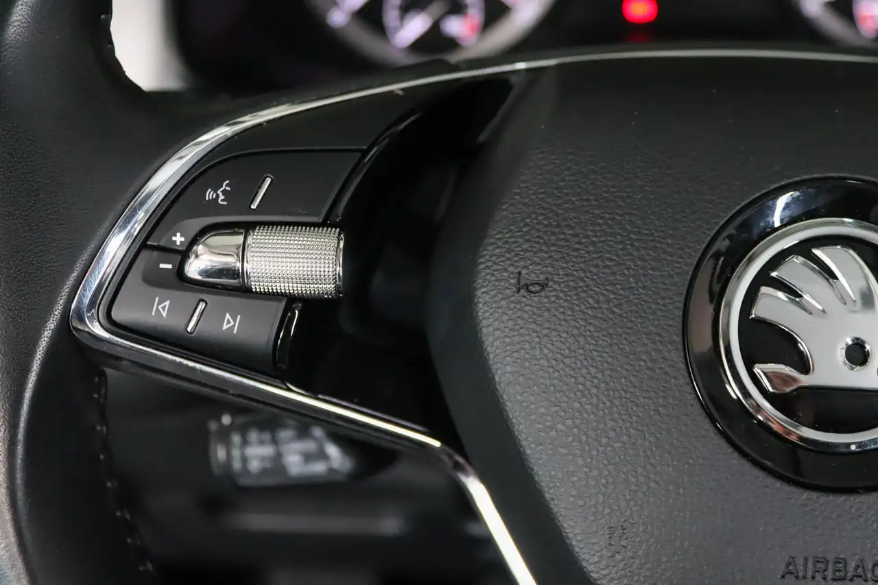 Skoda Kodiaq 1.5 TSI Business Edition 7-Persoons Trekhaak, Came, миниатюра 16