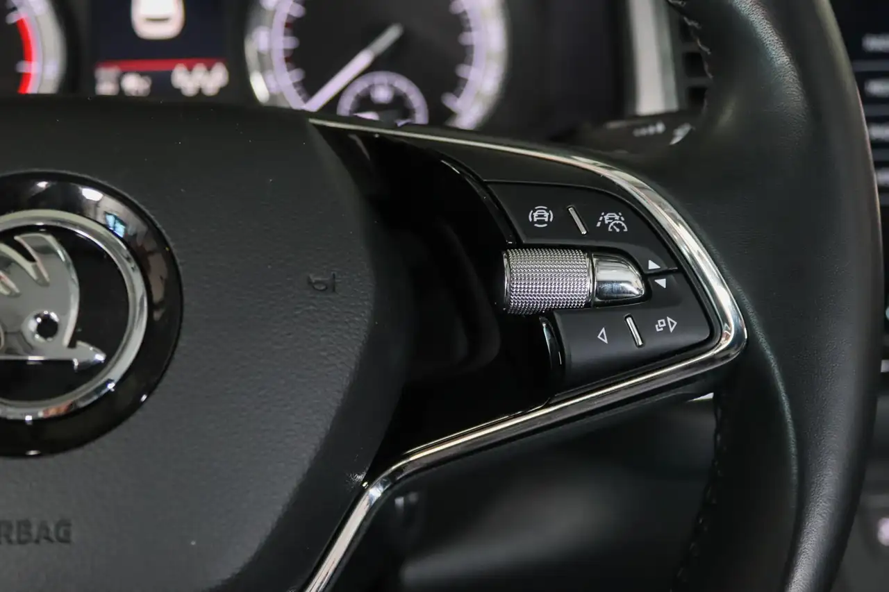 Skoda Kodiaq 1.5 TSI Business Edition 7-Persoons Trekhaak, Came, миниатюра 19
