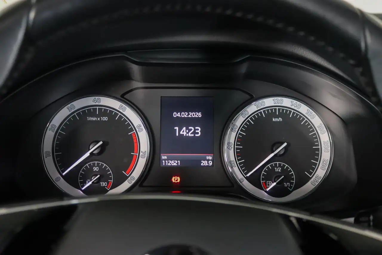 Skoda Kodiaq 1.5 TSI Business Edition 7-Persoons Trekhaak, Came, миниатюра 18