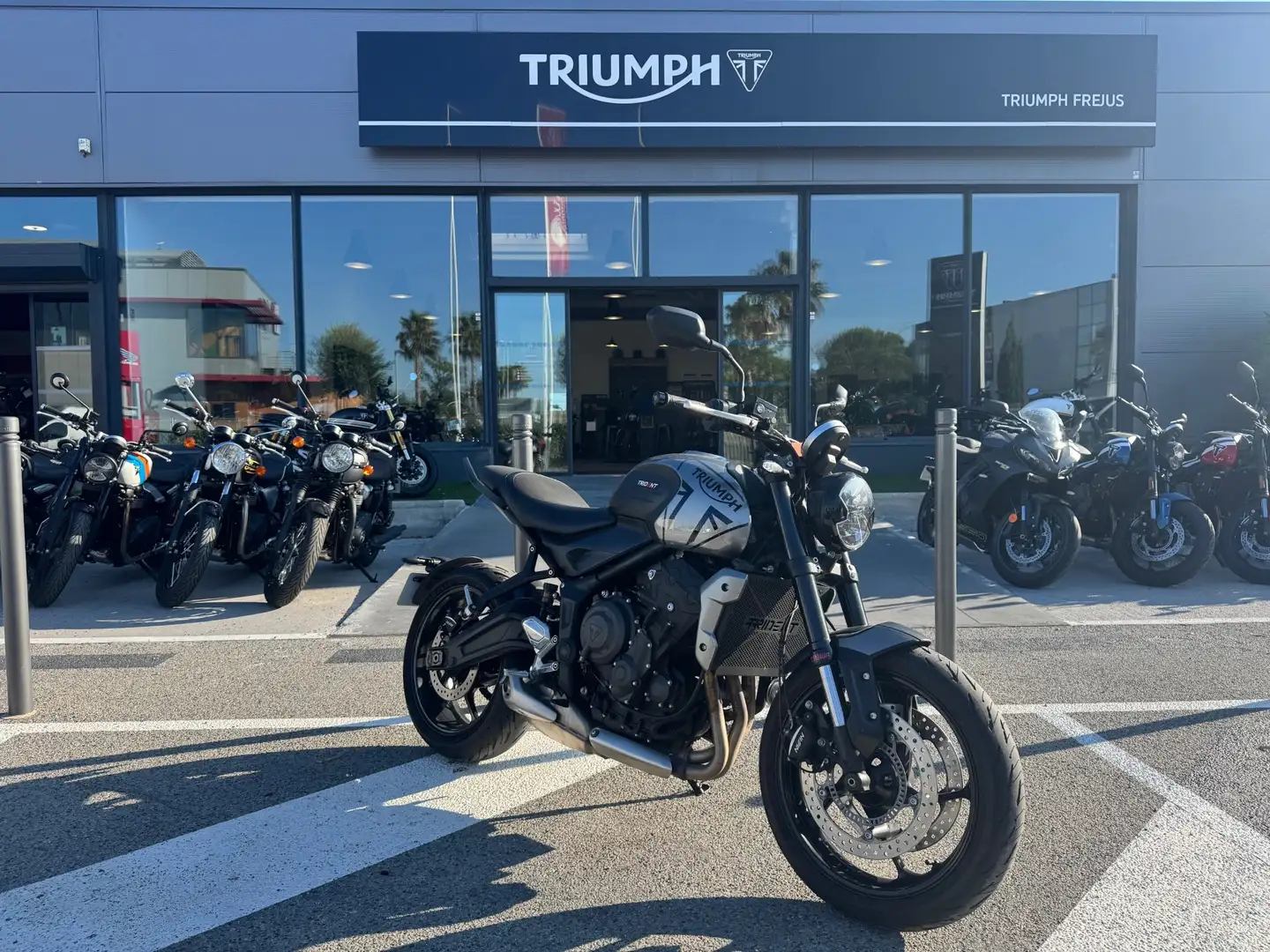 Triumph Trident 660 - 2