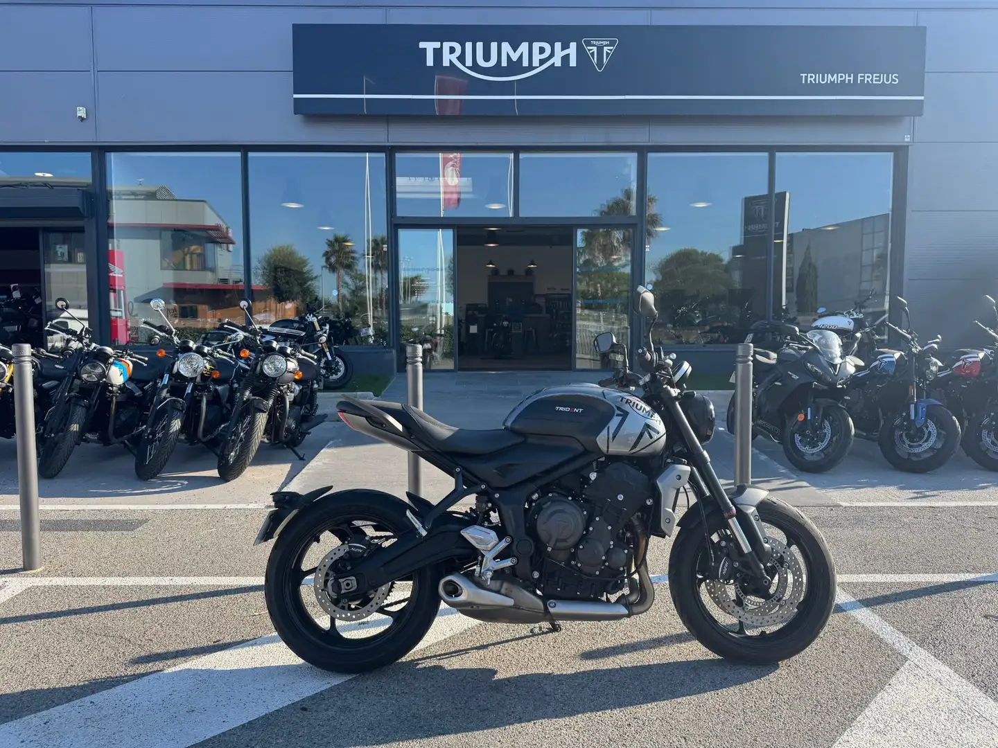 Triumph Trident 660 - 1
