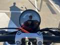 Triumph Trident 660 - thumbnail 5