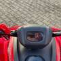 Otros CForce 110 / Kinder-Quad / Aktionspreis Rojo - thumbnail 11