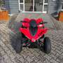 Otros CForce 110 / Kinder-Quad / Aktionspreis Rojo - thumbnail 8
