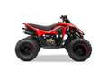 Sonstige Marken CForce 110 / Kinder-Quad / Aktionspreis Rot - thumbnail 2