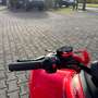 Otros CForce 110 / Kinder-Quad / Aktionspreis Rojo - thumbnail 13
