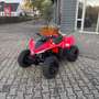 Otros CForce 110 / Kinder-Quad / Aktionspreis Rojo - thumbnail 1