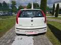Fiat Punto 1.2i cat 5 porte Blanc - thumbnail 6