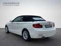 BMW 218 i Cabrio  Advantage LED+SHZ+Fernlichtass.+LM Weiß - thumbnail 3