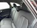 Audi A5 Avant TFSI S tro. RFK+AMBIENTE+CARPLAY+ACC Noir - thumbnail 13