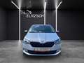 Skoda Fabia Combi TSI Clever Best-off LED Navi GRA PDC SH L... Silber - thumbnail 9