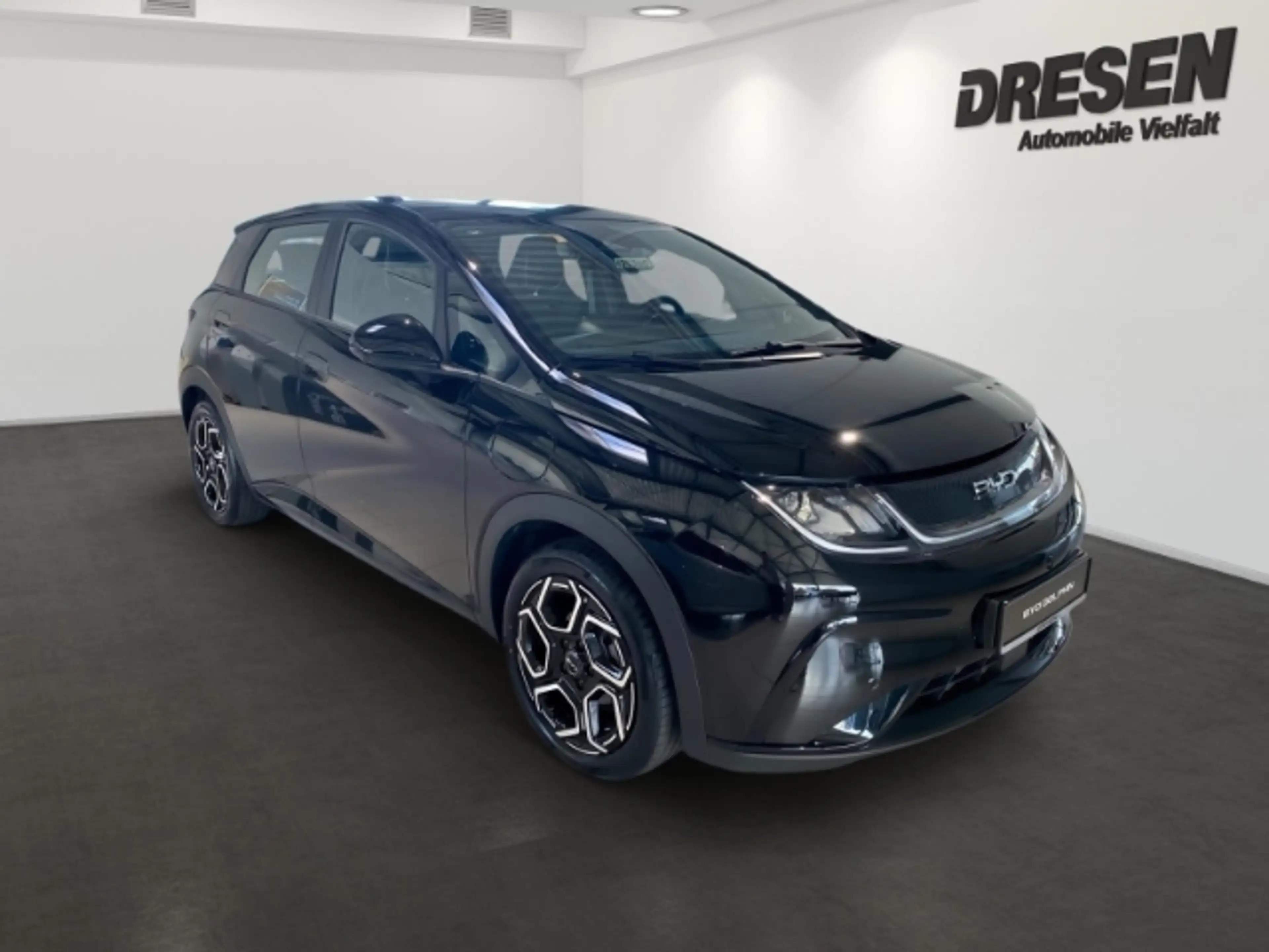BYD Dolphin Comfort Apple CarPlay Navigationssystem Sitzheizun — photo 2