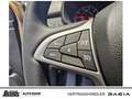 Dacia Sandero Stepway ECO-G 100 Extreme+ NAVI RKAM RÜCKFAHRKAM Beige - thumbnail 15