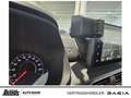 Dacia Sandero Stepway ECO-G 100 Extreme+ NAVI RKAM RÜCKFAHRKAM Bej - thumbnail 21