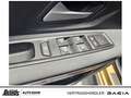 Dacia Sandero Stepway ECO-G 100 Extreme+ NAVI RKAM RÜCKFAHRKAM Bej - thumbnail 26