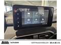 Dacia Sandero Stepway ECO-G 100 Extreme+ NAVI RKAM RÜCKFAHRKAM Bej - thumbnail 18
