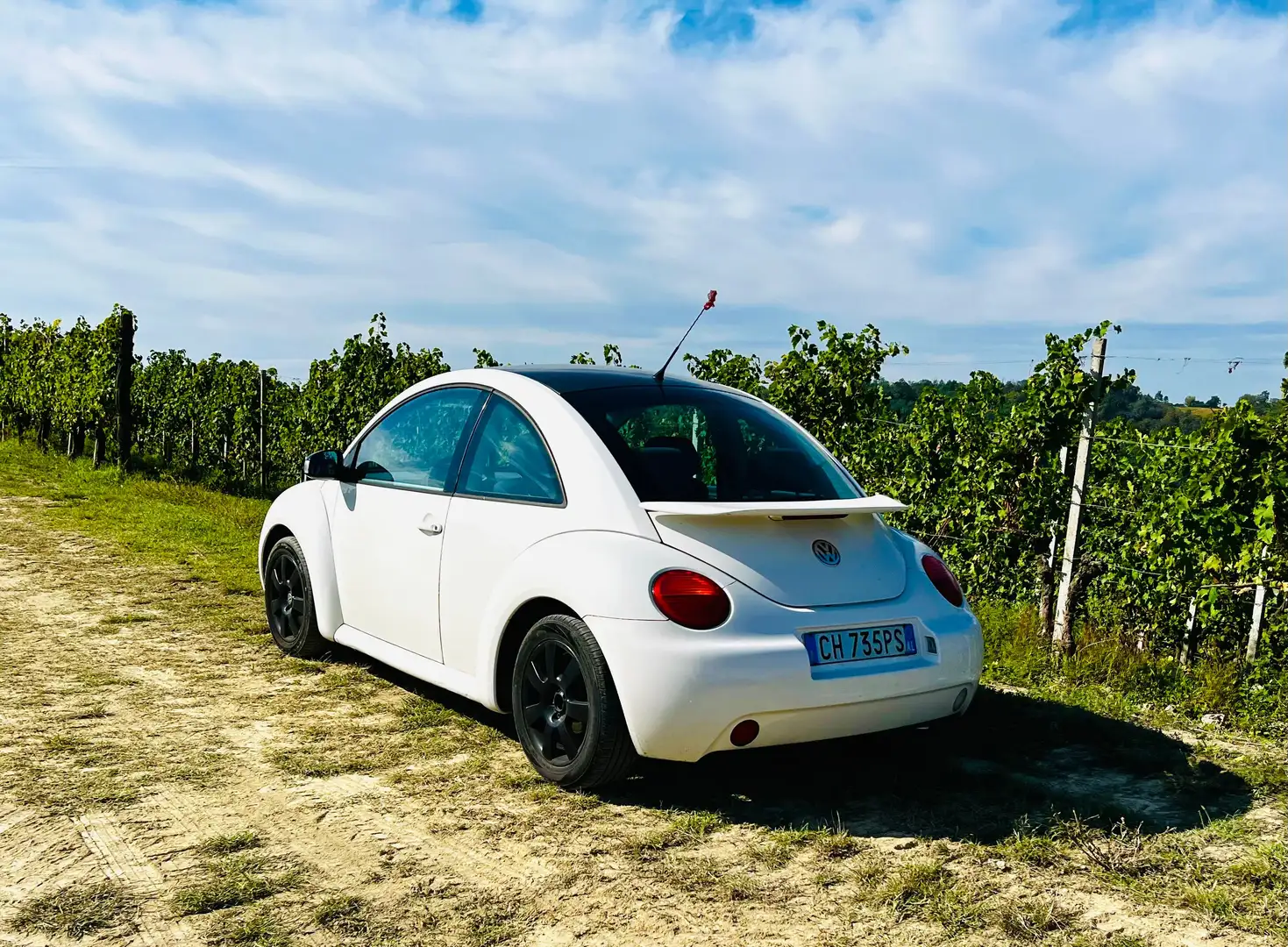 Volkswagen New Beetle New Beetle Cabrio 1.9 tdi 100cv Bianco - 1